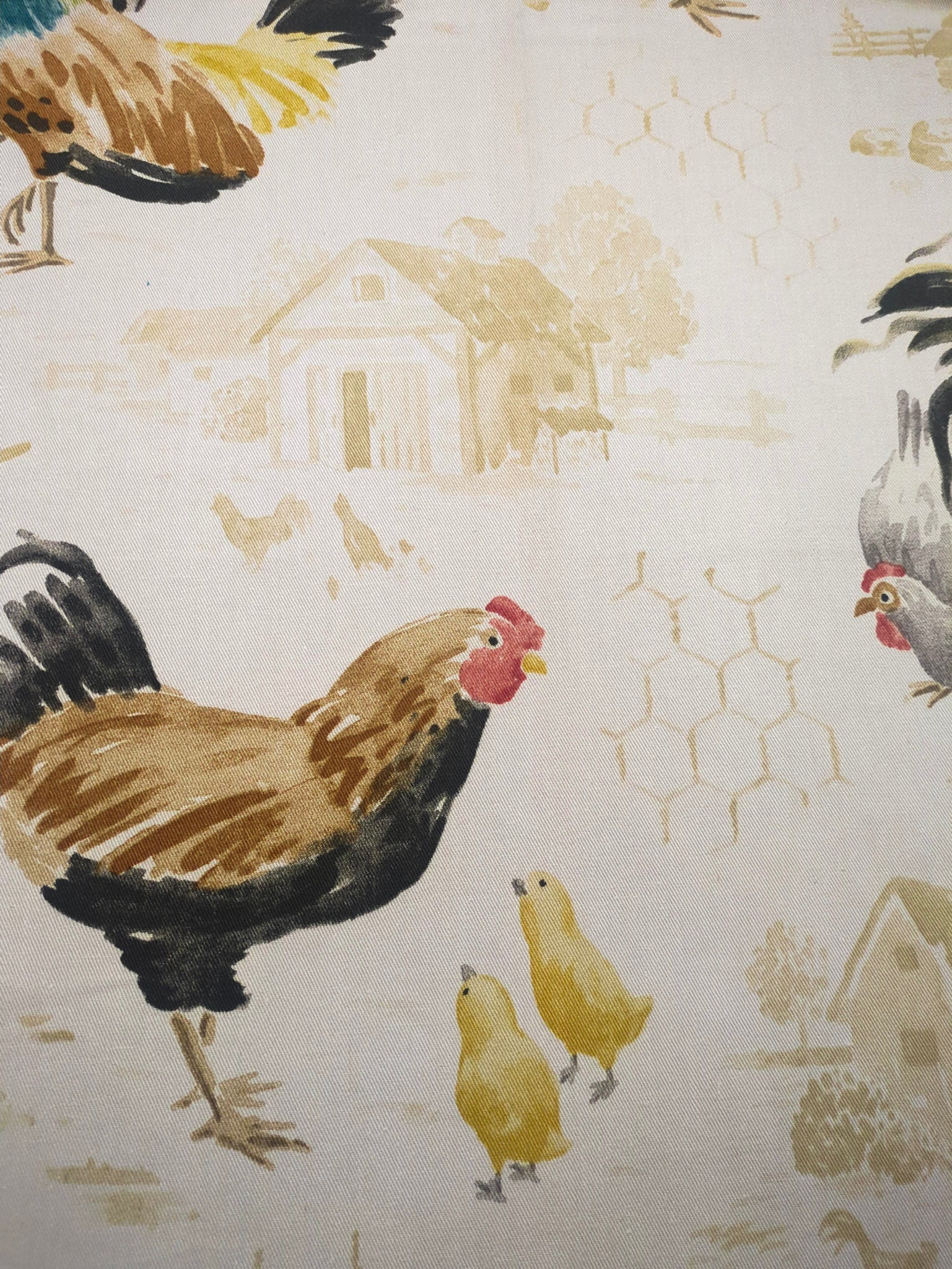 Rooster Strut