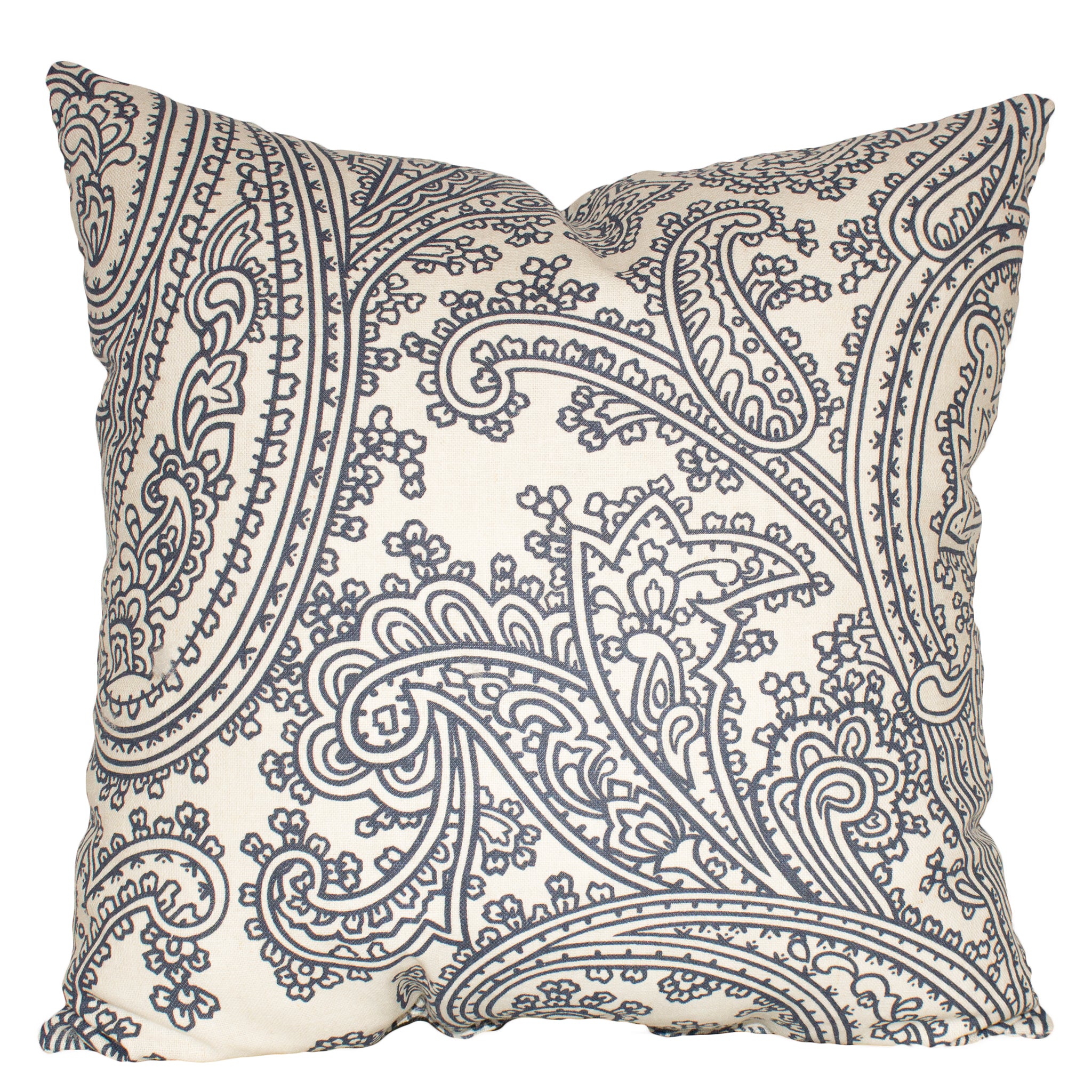 Buta Paisley Pillow