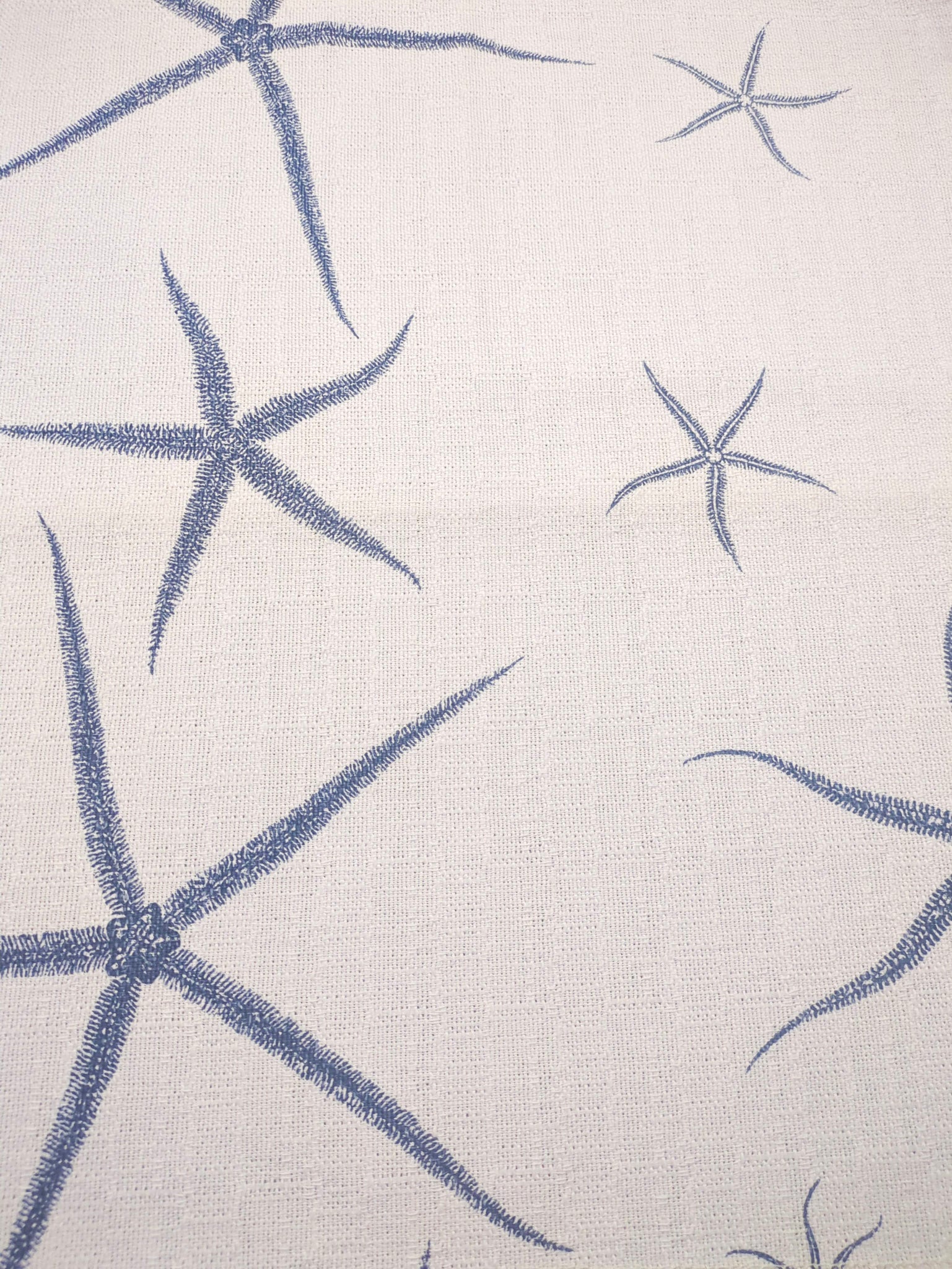 Sea Stars