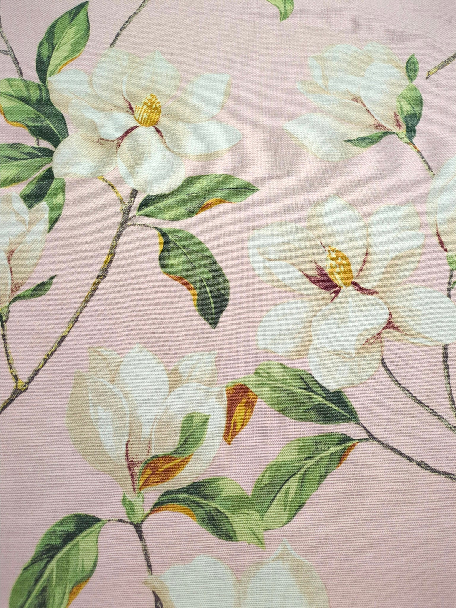 Magnolia