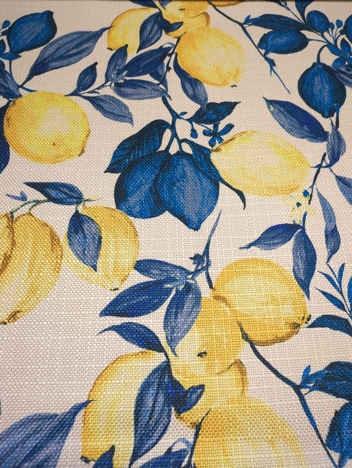 El Limon Fabric