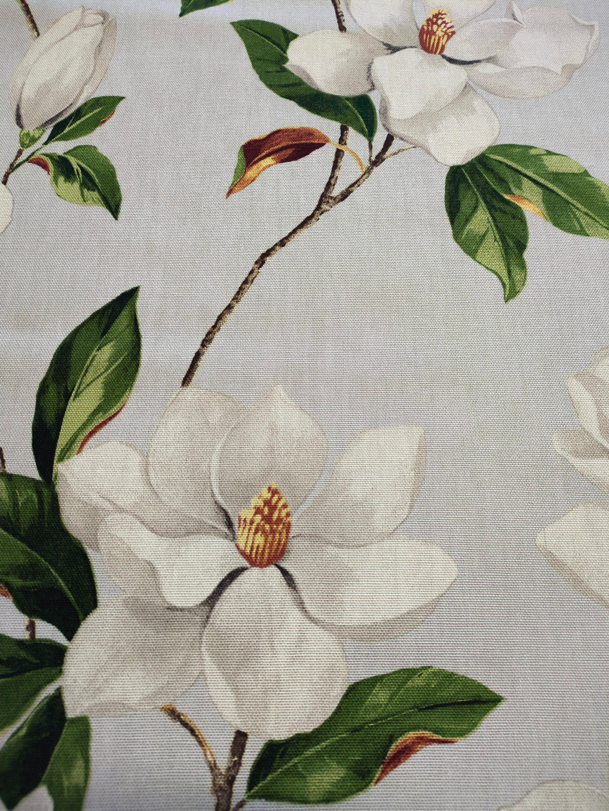 Magnolia Swatch