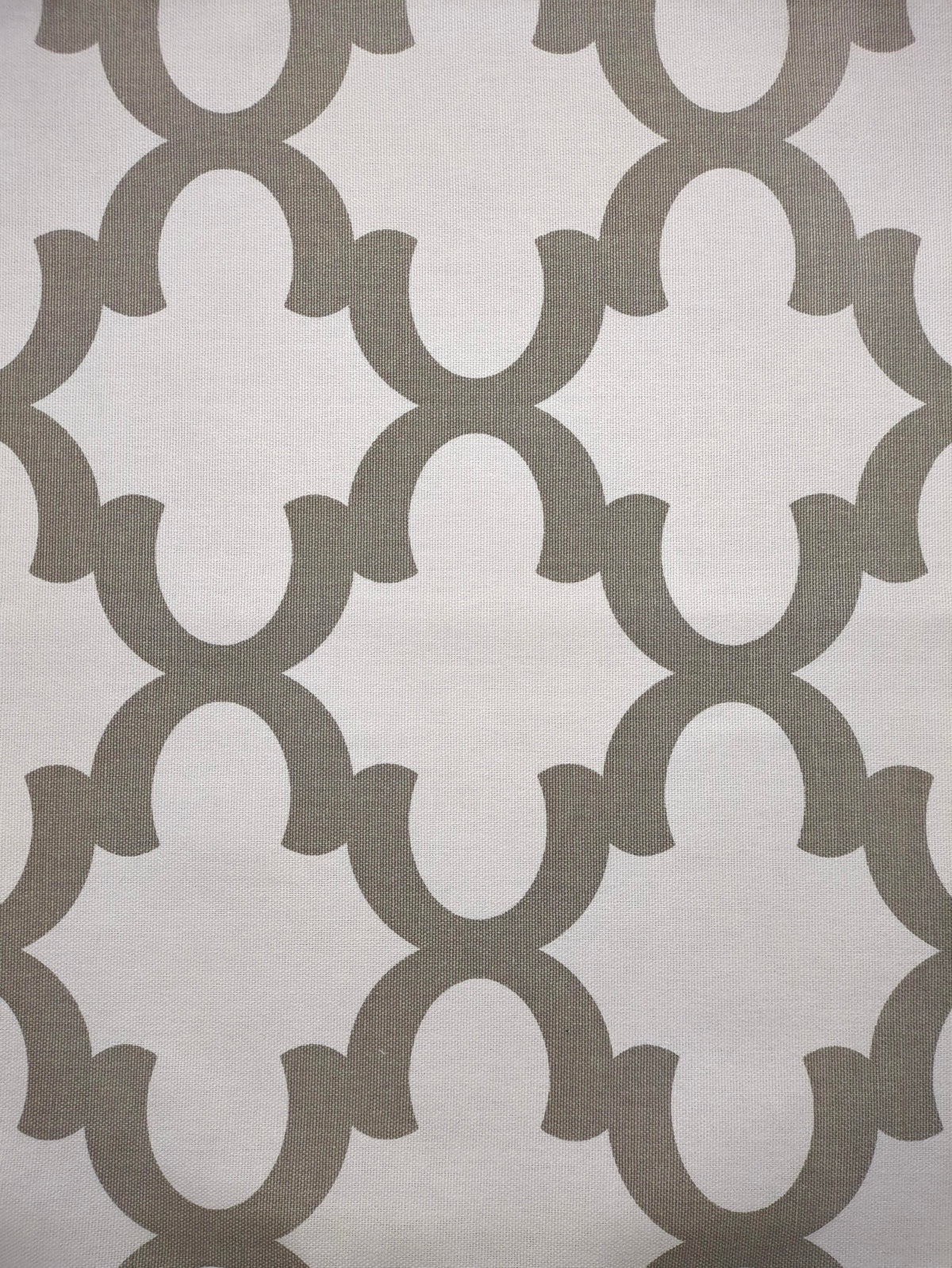 Ogee Swatch