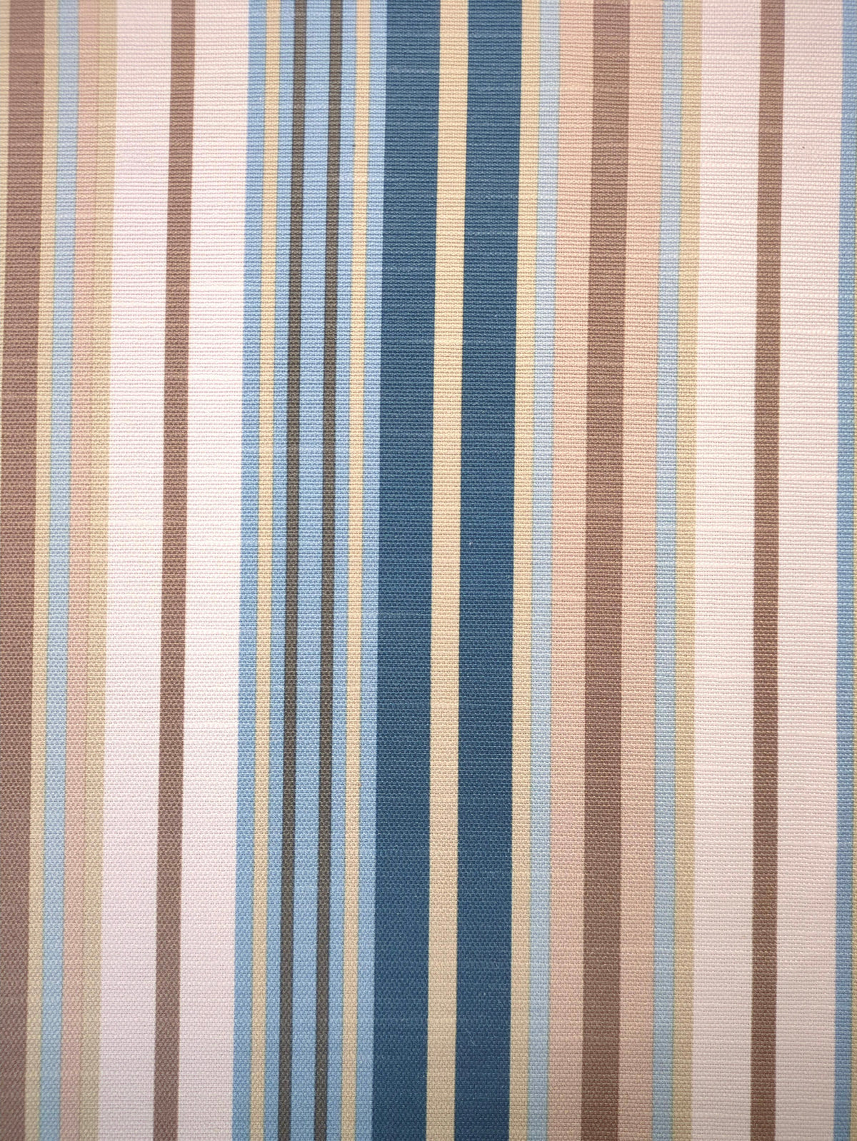 Elisa Swatch