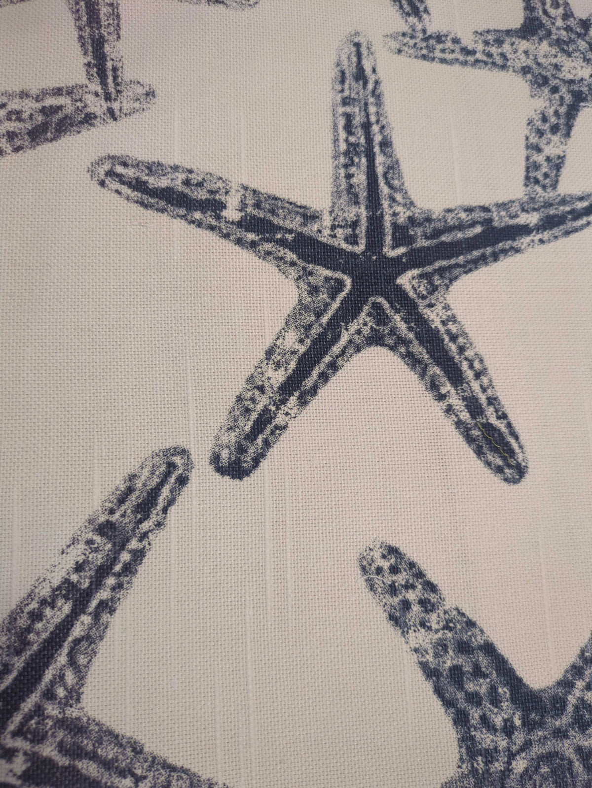 Starfish Swatch