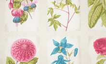 Load image into Gallery viewer, Essex Botanical Butterfly Valance